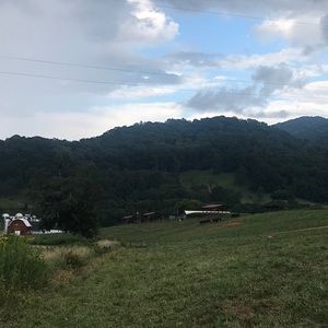 Meet your Posher, Dawn